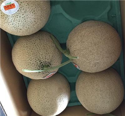 日本出口「鮮蜜瓜」農藥殘留含量不符規定