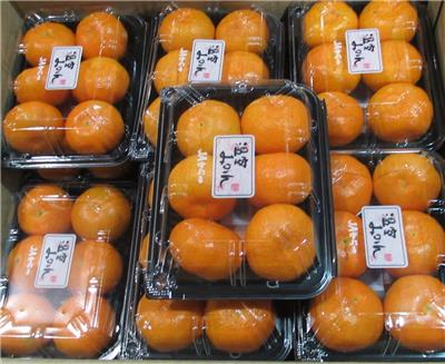 日本出口「蜜柑」農藥殘留含量不符規定