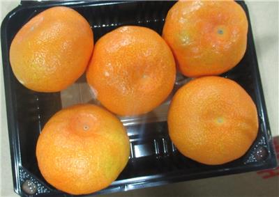 日本出口「蜜柑」農藥殘留含量不符規定