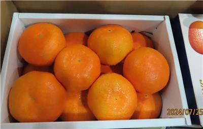 日本出口「蜜柑」農藥殘留含量不符規定