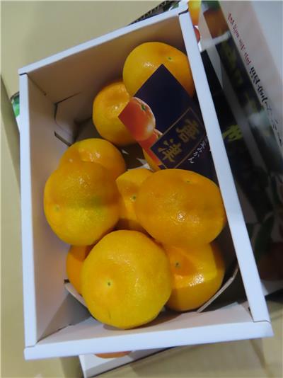 日本出口「鮮蜜柑」農藥殘留含量不符規定