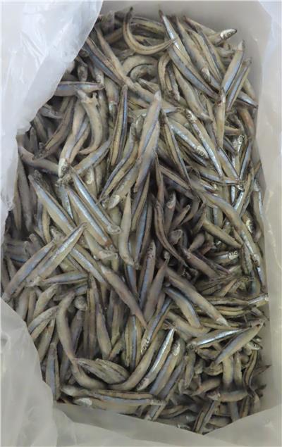 日本出口「冷凍丁香魚」重金屬含量不符規定