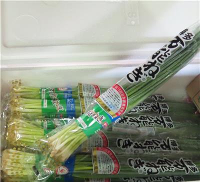 日本出口「蔥」農藥殘留含量不符規定