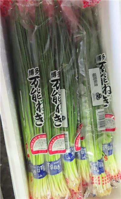 日本出口「蔥」農藥殘留含量不符規定