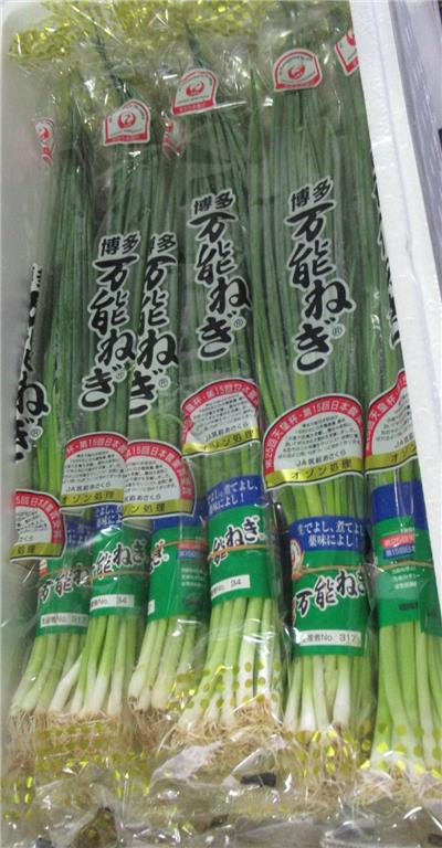 日本出口「蔥」農藥殘留含量不符規定