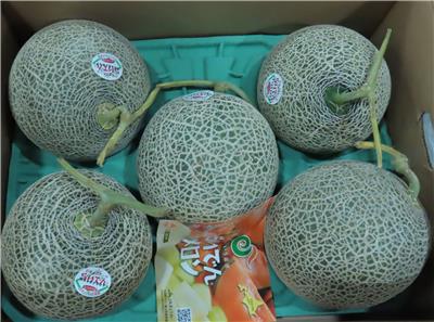 日本出口「鮮哈密瓜」農藥殘留含量不符規定