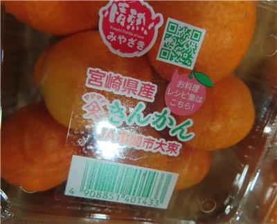 日本出口「鮮金柑」農藥殘留含量不符規定