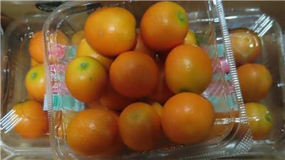 日本出口「鮮金柑」農藥殘留含量不符規定