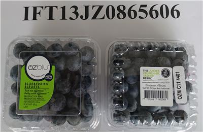 秘魯出口「鮮藍莓」農藥殘留含量不符規定