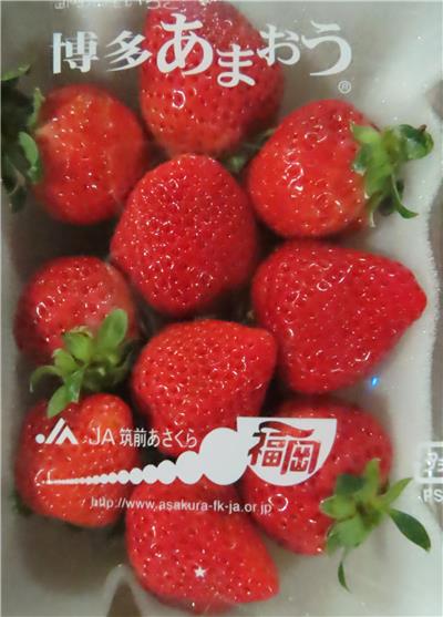 日本出口「鮮草莓」農藥殘留含量不符規定