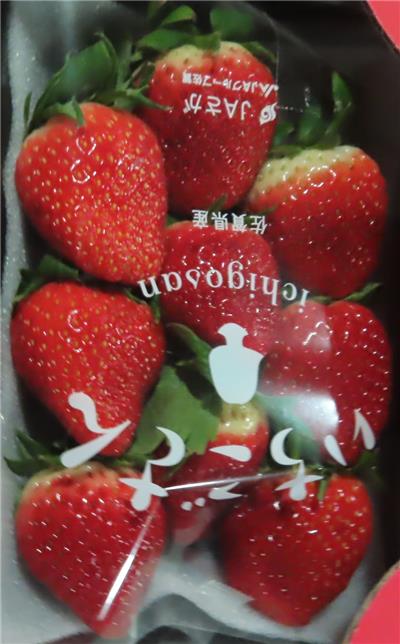 日本出口「鮮草莓」農藥殘留含量不符規定