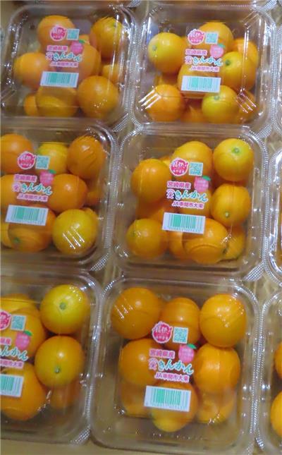 日本出口「鮮金柑」農藥殘留含量不符規定