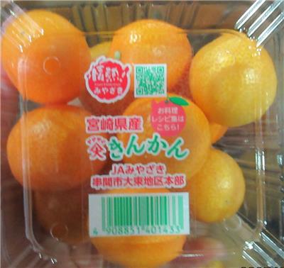 日本出口「鮮金柑」農藥殘留含量不符規定