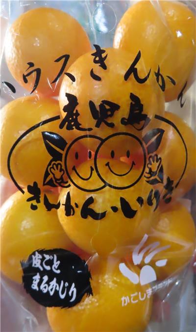 日本出口「鮮金柑」農藥殘留含量不符規定