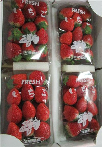 日本出口「鮮草莓」農藥殘留含量不符規定