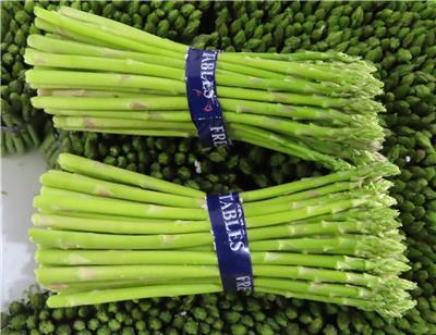 越南出口「蘆筍」農藥殘留含量不符規定
