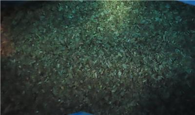 埃及出口「羅勒葉」農藥殘留含量不符規定