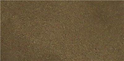 印度出口「香芹子」農藥殘留含量不符規定