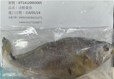 中國大陸出口「冰鮮黃魚」動物用藥殘留含量不符規定
