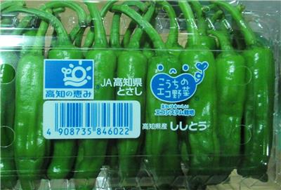 日本出口「青椒」農藥殘留含量不符規定