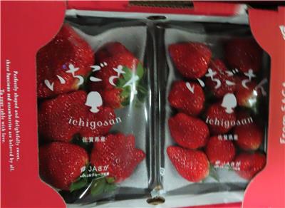 日本出口「鮮草莓」農藥殘留含量不符規定