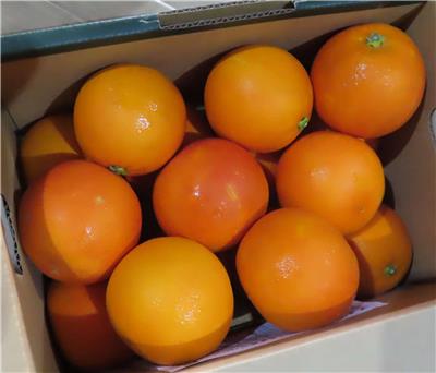 日本出口「鮮柑橘」農藥殘留含量不符規定