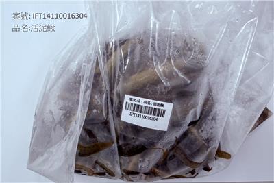 中國大陸出口「活泥鰍」動物用藥殘留含量不符規定