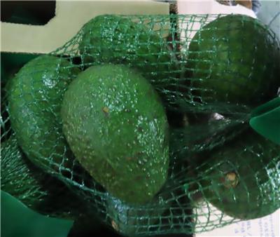 美國出口「鮮酪梨」重金屬含量不符規定