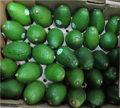 美國出口「鮮酪梨」重金屬含量不符規定