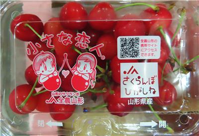日本出口「鮮櫻桃」農藥殘留含量不符規定