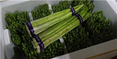 泰國出口「蘆筍」農藥殘留含量不符規定