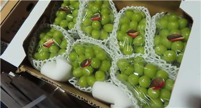 日本出口「鮮葡萄」農藥殘留含量不符規定