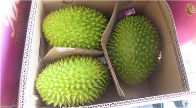 越南出口「鮮榴槤」農藥殘留含量不符規定