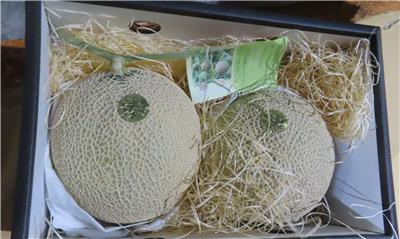 日本出口「鮮蜜瓜」農藥殘留含量不符規定