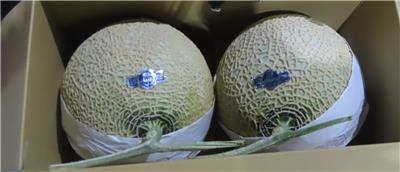 日本出口「鮮蜜瓜」農藥殘留含量不符規定