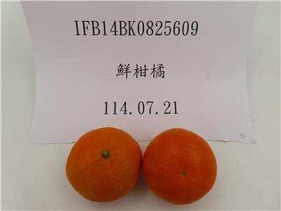 南非出口「鮮柑橘」農藥殘留含量不符規定