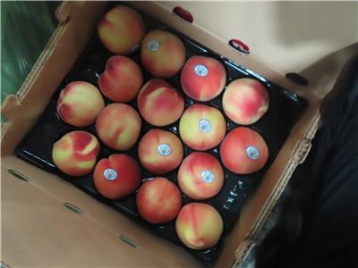 美國出口「鮮水蜜桃」農藥殘留含量不符規定