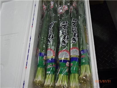 日本出口「蔥」農藥殘留含量不符規定