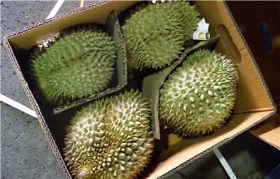 泰國出口「鮮榴槤」農藥殘留含量不符規定