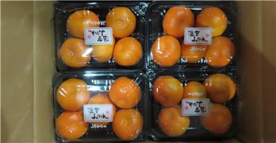 日本出口「鮮蜜柑」農藥殘留含量不符規定