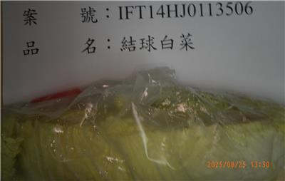 越南出口「結球白菜」農藥殘留含量不符規定