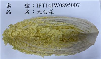 越南出口「大白菜」農藥殘留含量不符規定
