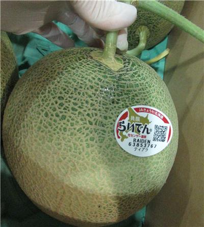 日本出口「鮮蜜瓜」農藥殘留含量不符規定