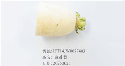中國大陸出口「白蘿蔔」農藥殘留含量不符規定