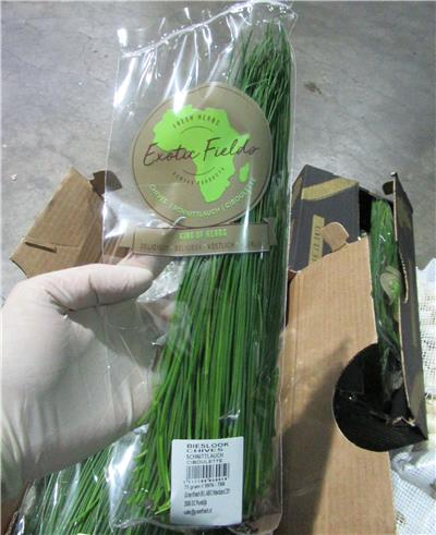 肯亞出口「蝦夷蔥」農藥殘留含量不符規定