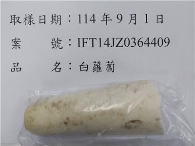 中國大陸出口「白蘿蔔」農藥殘留含量不符規定