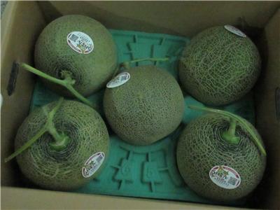 日本出口「哈密瓜」農藥殘留含量不符規定