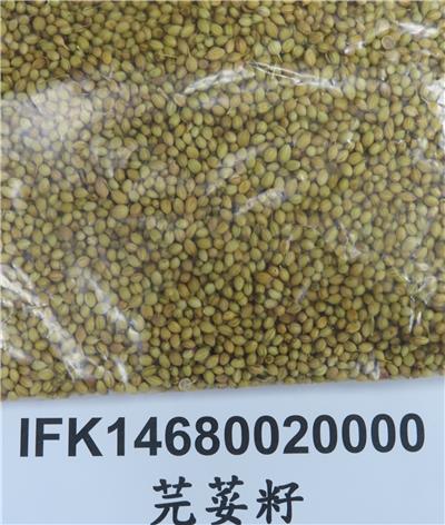 印度出口「芫荽籽」農藥殘留含量不符規定