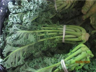 澳大利亞出口「羽葉甘藍」農藥殘留含量不符規定