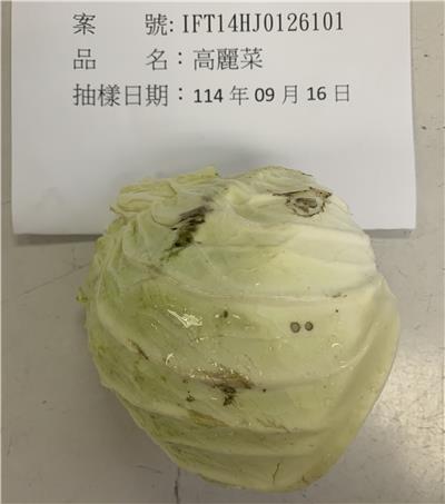 越南出口「高麗菜」農藥殘留含量不符規定
